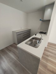 対面式システムキッチン（背面に収納棚）