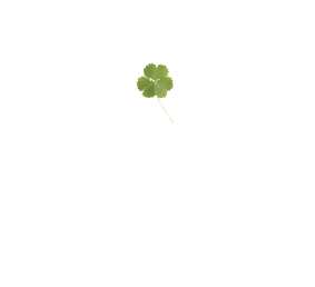 futurestory
